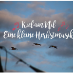 KielAmNil_Musik_Familien_SpotifyPlaylist_Herbst_FOTO(c)www.kielamnil.de